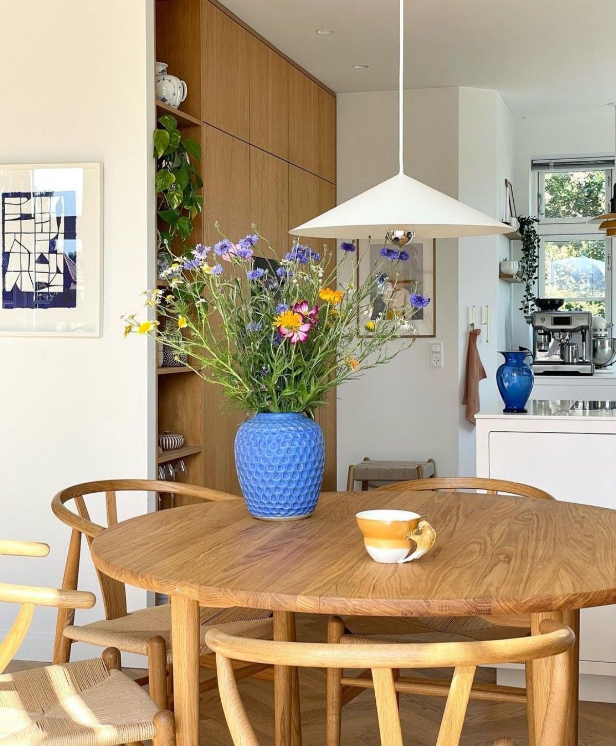 A Guide to Buy Bosch Appliances in Ireland in 2023